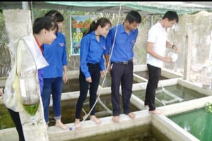 mo-hinh-nuoi-ca-bay-mau-cua-nguyen-thanh-huyen-ben-tre