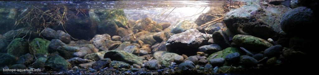 "Dòng chảy xiết ở sườn nam núi Halimun" - Indonesia