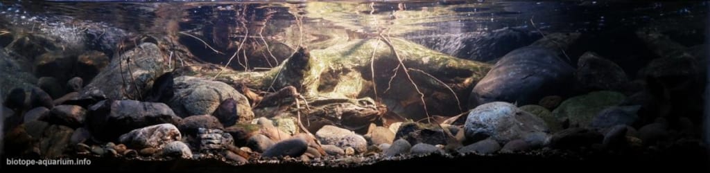 Jungle stream on the south side mount Hlimun, 300 MASL, Indonesia