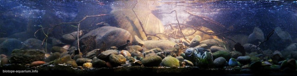 Heavy current stream on the south side mount Halimun, 400 MASL