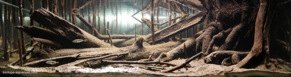 "Nguồn sông Krężniczanka gần Bełżyce" - Ba Lan