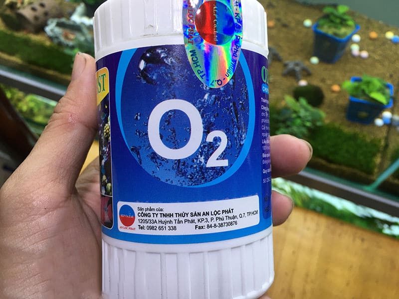 vien-sui-oxy-cho-be-ca-canh-thuan-tien-khi-ship-ca-di-xa