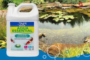 api-algaefix-pond