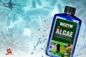 Biozym Algae Remover