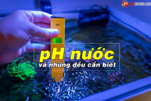 độ ph nước hồ cá