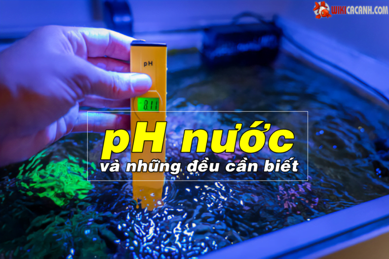 độ ph nước hồ cá