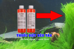 Dr.Tank Algae Control Zym