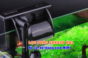 lọc thác sunsun hbl