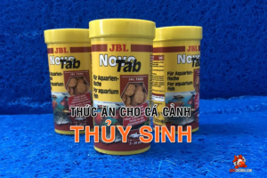 Thức ăn cá viên dán JBL Novo Tab