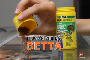 JBL PRONOVO BETTA INSECT STICK S