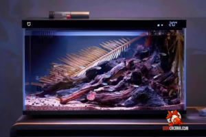 Xiaomi ra mắt bể cá thông minh có thể cho cá ăn từ xa, giá 1.18 triệu đồng