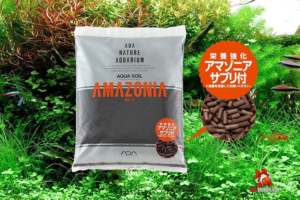 Phân nền thủy sinh ADA 2 ra mắt 2019