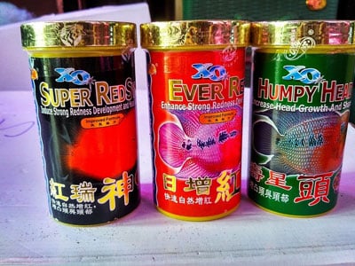 Thức ăn cho cá la hán