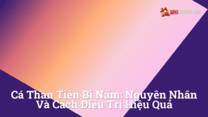 Hình ảnh minh họa cho Cá thần tiên bị nấm: Nguyên nhân và cách điều trị hiệu quả