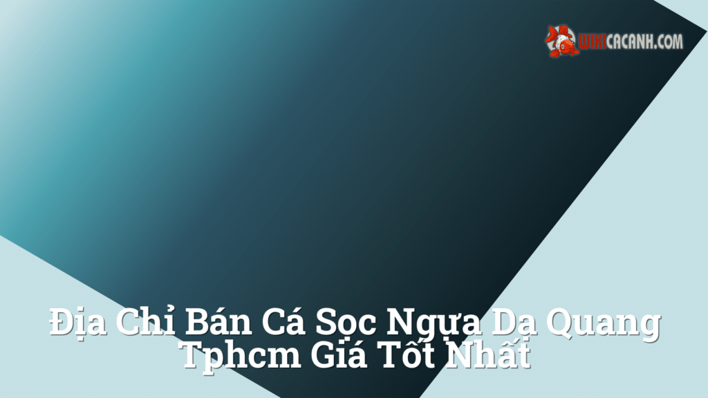 Hình ảnh minh họa cho Địa chỉ bán cá sọc ngựa dạ quang tphcm giá tốt nhất