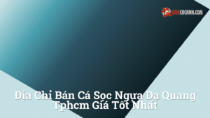 Hình ảnh minh họa cho Địa chỉ bán cá sọc ngựa dạ quang tphcm giá tốt nhất