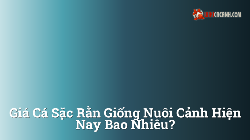 Hình ảnh minh họa cho Giá cá sặc rằn giống nuôi cảnh hiện nay bao nhiêu?