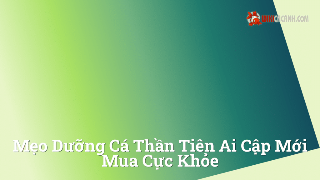 Hình ảnh minh họa cho Mẹo dưỡng cá thần tiên ai cập mới mua cực khỏe
