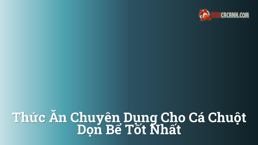 Hình ảnh minh họa cho Thức ăn chuyên dụng cho cá chuột dọn bể tốt nhất