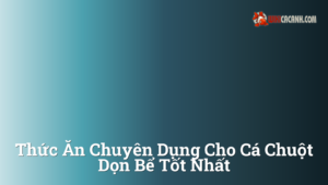 Hình ảnh minh họa cho Thức ăn chuyên dụng cho cá chuột dọn bể tốt nhất