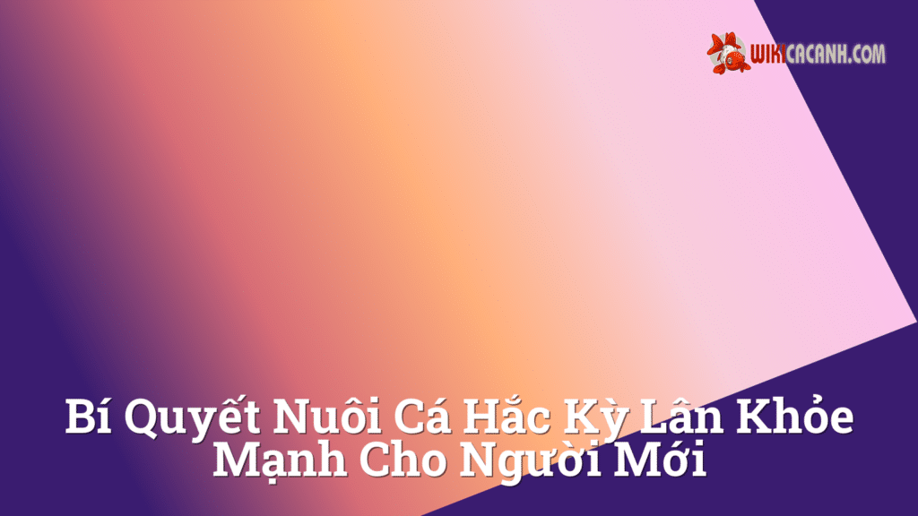 Hình ảnh minh họa cho Bí quyết nuôi cá hắc kỳ lân khỏe mạnh cho người mới