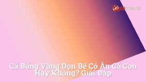 Hình ảnh minh họa cho Cá bống vàng dọn bể có ăn cá con hay không? Giải đáp