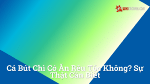 Hình ảnh minh họa cho Cá bút chì có ăn rêu tóc không? Sự thật cần biết
