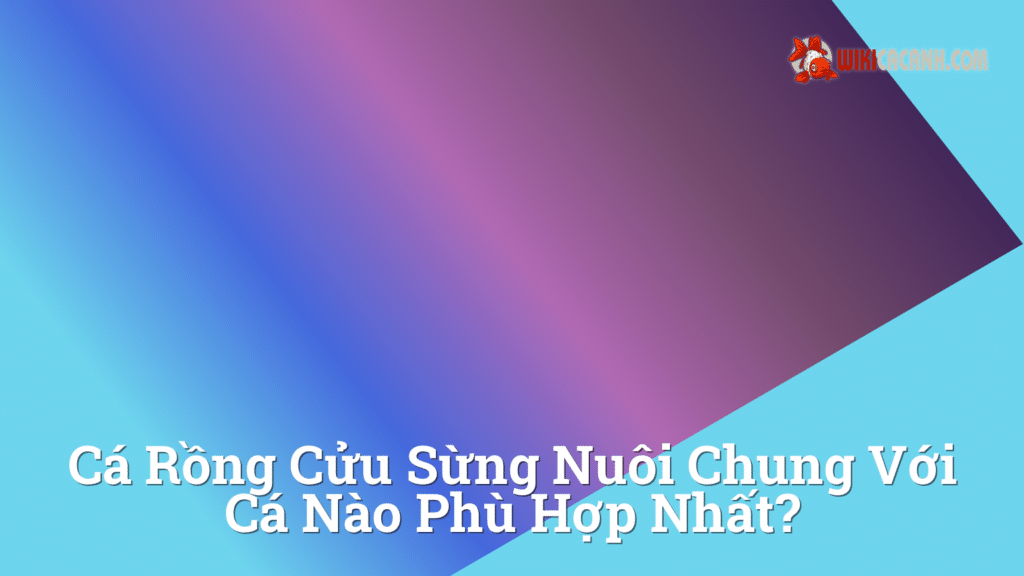 Hình ảnh minh họa cho Cá rồng cửu sừng nuôi chung với cá nào phù hợp nhất?