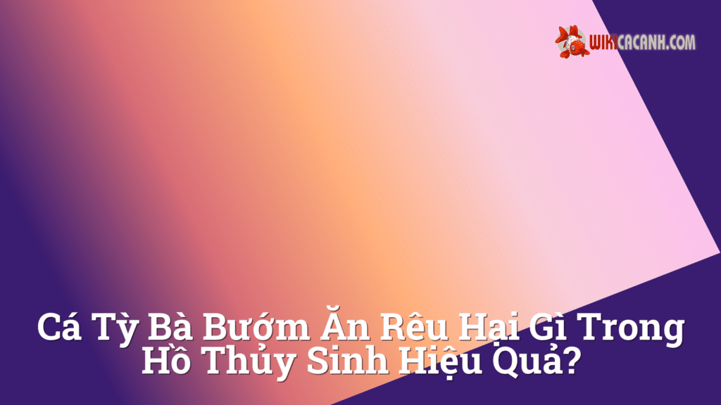 Hình ảnh minh họa cho Cá tỳ bà bướm ăn rêu hại gì trong hồ thủy sinh hiệu quả?