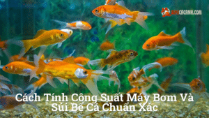 Hình ảnh minh họa cho Cách tính công suất máy bơm và sủi bể cá chuẩn xác
