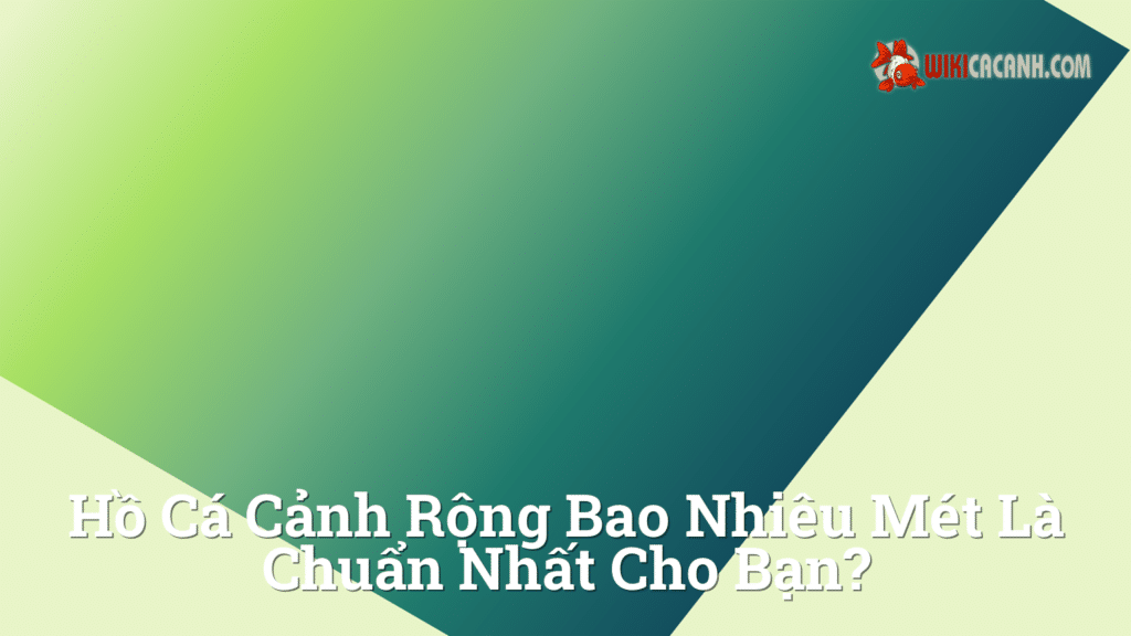 Hình ảnh minh họa cho Hồ cá cảnh rộng bao nhiêu mét là chuẩn nhất cho bạn?