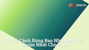 Hình ảnh minh họa cho Hồ cá cảnh rộng bao nhiêu mét là chuẩn nhất cho bạn?