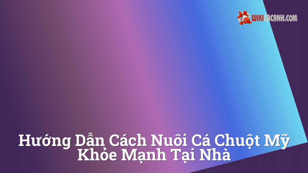 Hình ảnh minh họa cho Hướng dẫn cách nuôi cá chuột mỹ khỏe mạnh tại nhà