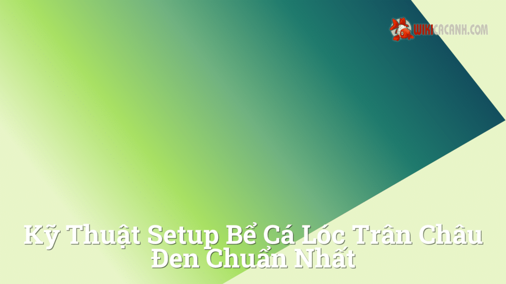 Hình ảnh minh họa cho Kỹ thuật setup bể cá lóc trân châu đen chuẩn nhất