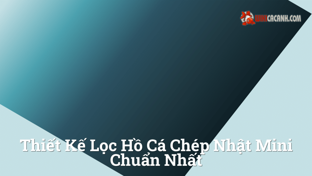 Hình ảnh minh họa cho Thiết Kế Lọc Hồ Cá Chép Nhật Mini Chuẩn Nhất