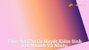 Hình ảnh minh họa cho Thức ăn cho cá huyết kiếm sinh sản nhanh và nhiều