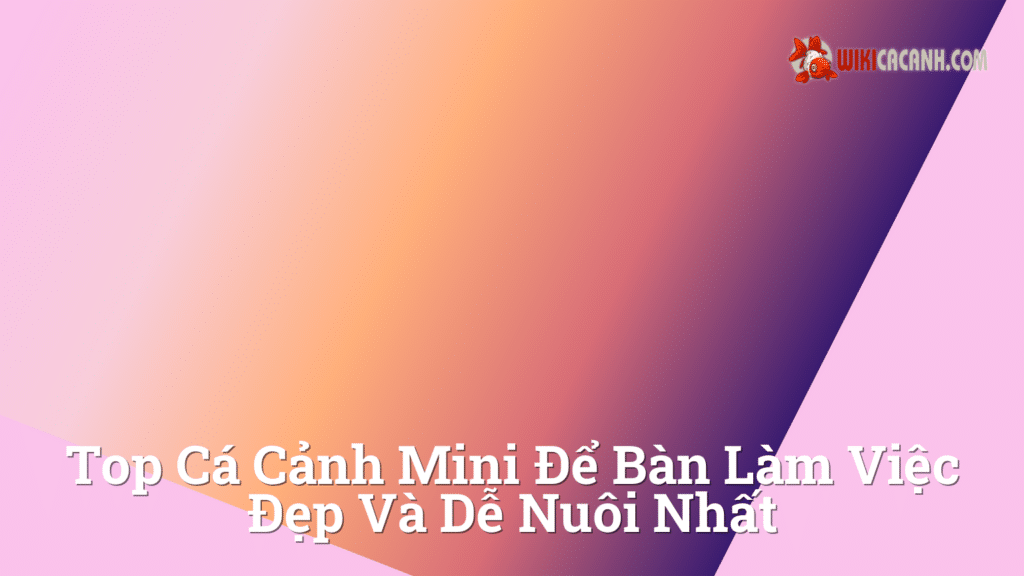 Hình ảnh minh họa cho Top cá cảnh mini để bàn làm việc đẹp và dễ nuôi nhất